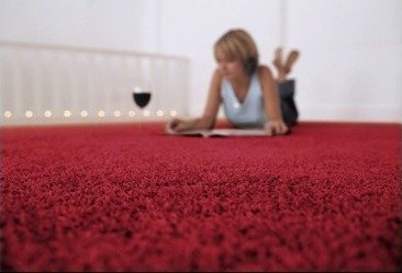 Carpet Cleaning